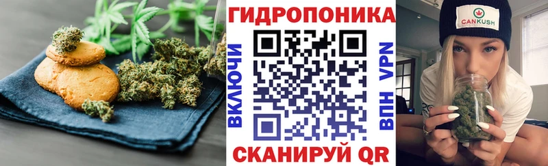 как найти закладки  блэк спрут маркетплейс  Печенье с ТГК марихуана  Боровичи 