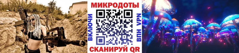 Псилоцибиновые грибы Cubensis  Боровичи 